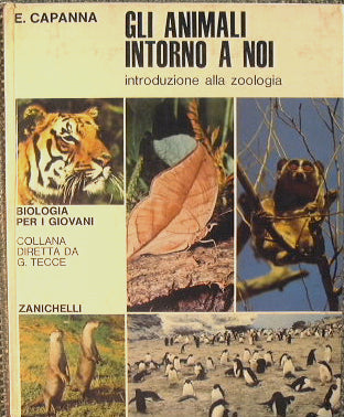 Gli animali intorno a noi