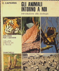 Gli animali intorno a noi