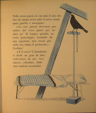 Marcolino y los pájaros. Historias de animales