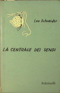 El centro de los sentidos.