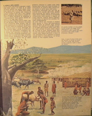 Ricerche su l'ambiente dell'uomo
