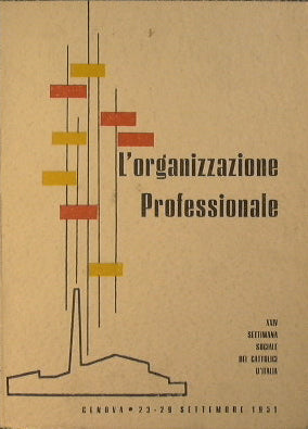 la organizacion profesional