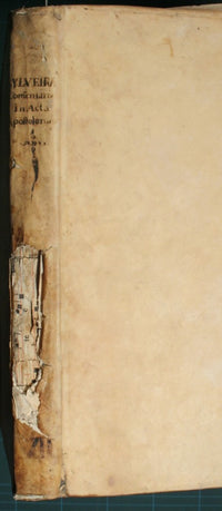 Commentaria in Acta Apostolorum