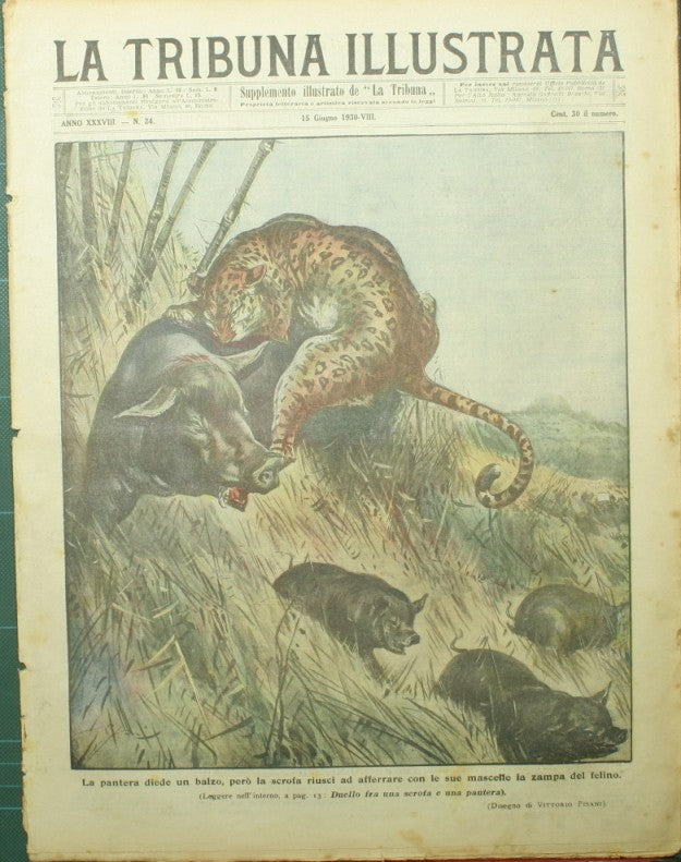 The Illustrated Tribune. June 15, 1930