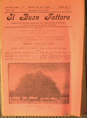 Il buon fattore