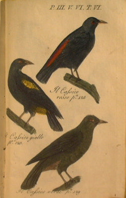 Buffon's works (Part III - Vol VI general history of birds)