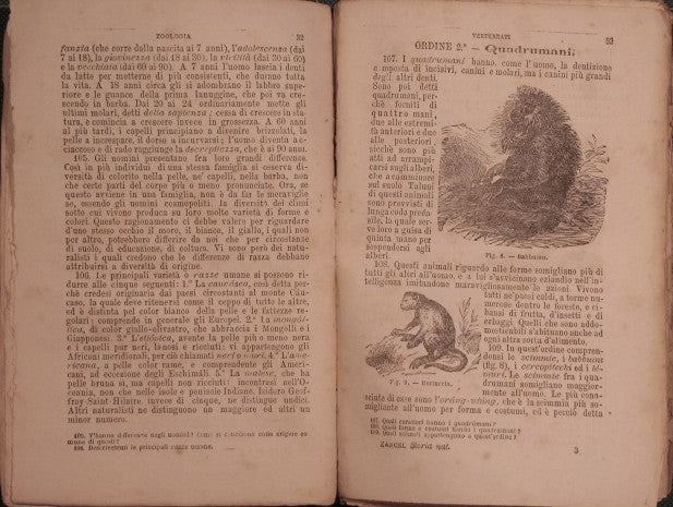 Elementi di storia naturale