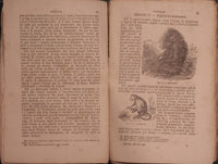 Elementi di storia naturale