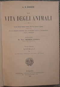 La vida de los animales
