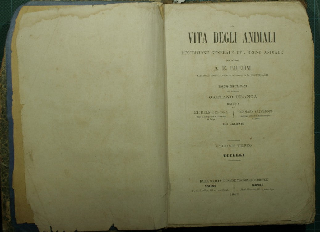 La vita degli animali. Vol. III - Uccelli