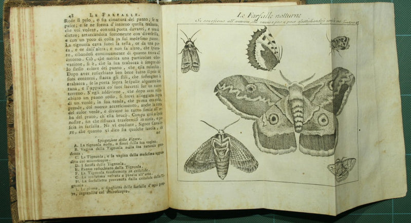 Lo spettacolo della natura