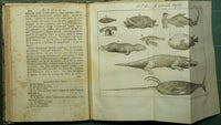Lo spettacolo della natura