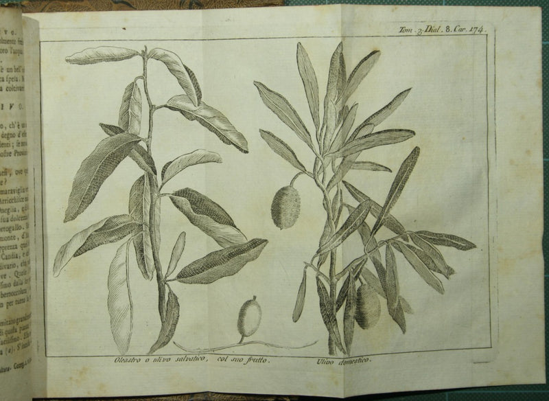 Lo spettacolo della natura