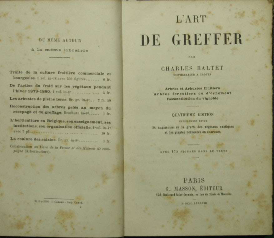 El arte de Greffer.