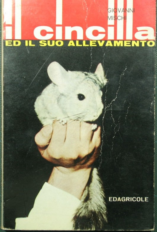 Il cincilla ed il suo allevamento