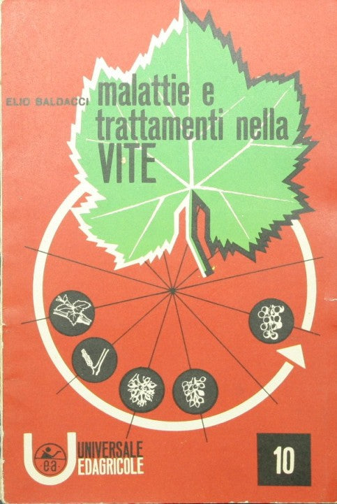 Diseases and treatments in the vine