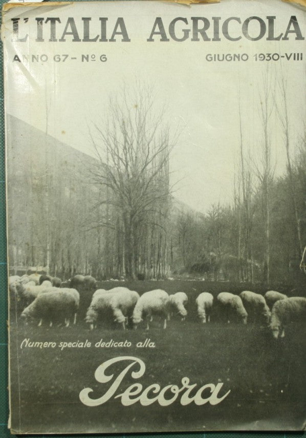 L'Italia agricola. Anno 67 - n. 6, Giugno 1930 - Numero speciale dedicato alla pecora