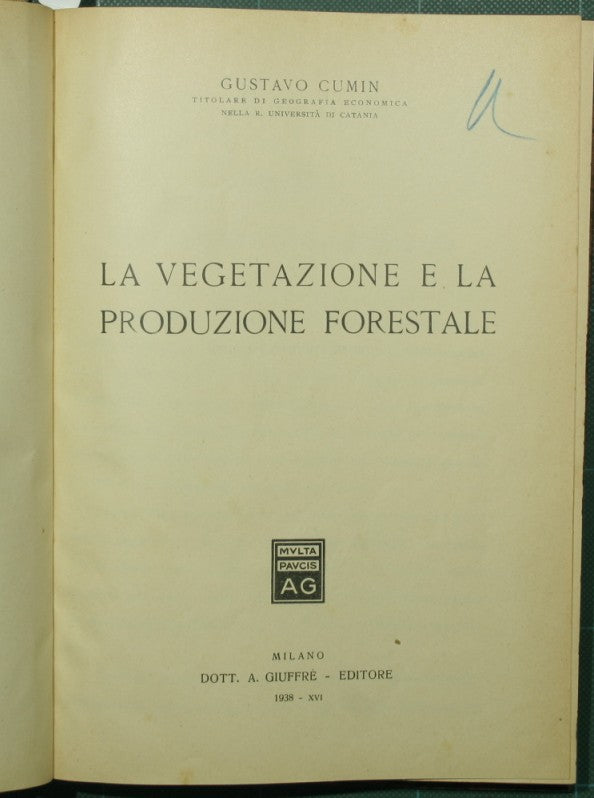 Vegetación y producción forestal.