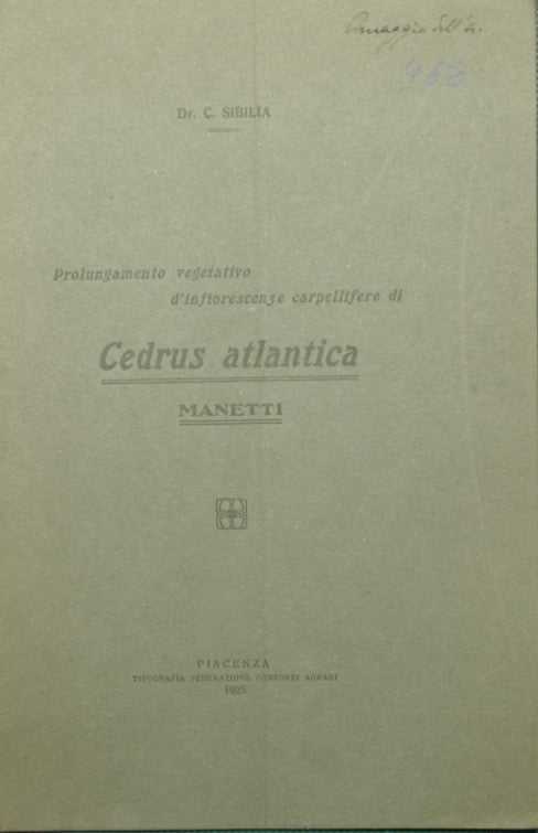 Prolungamento vegetativo d'infiorescenze carpellifere di Cedrus atlantica