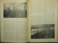 Roses and carnations in new cultivation methods