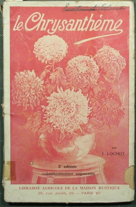 The chrysanthemes