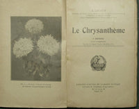 The chrysanthemes