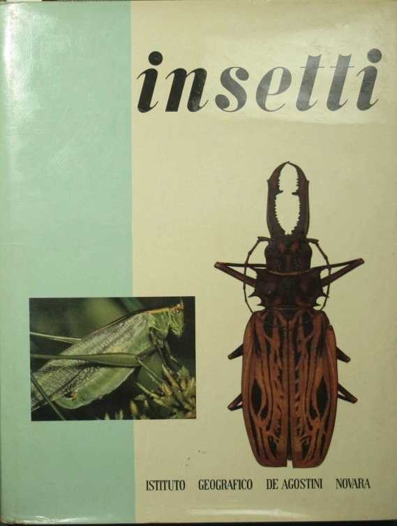 Insetti