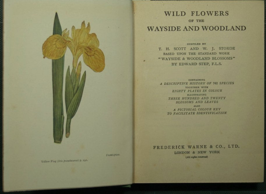 Wild flowers of the wayside and woodland