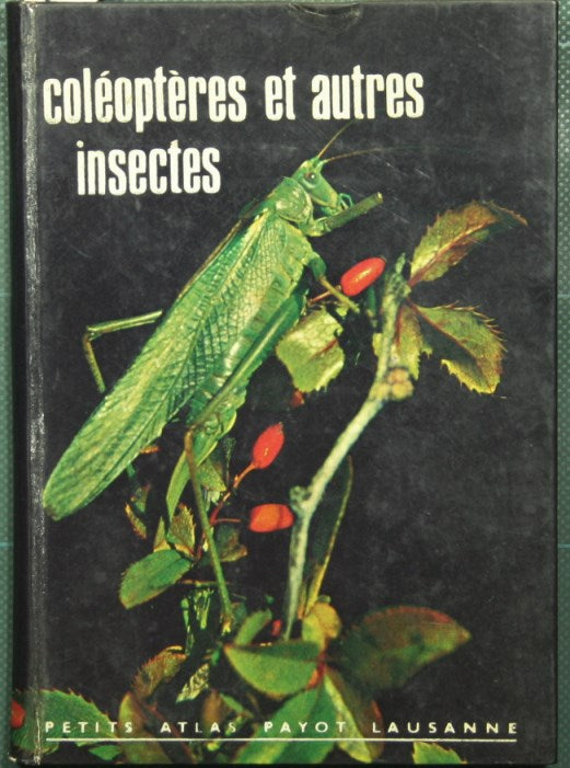 Coleopteres et autres insectes