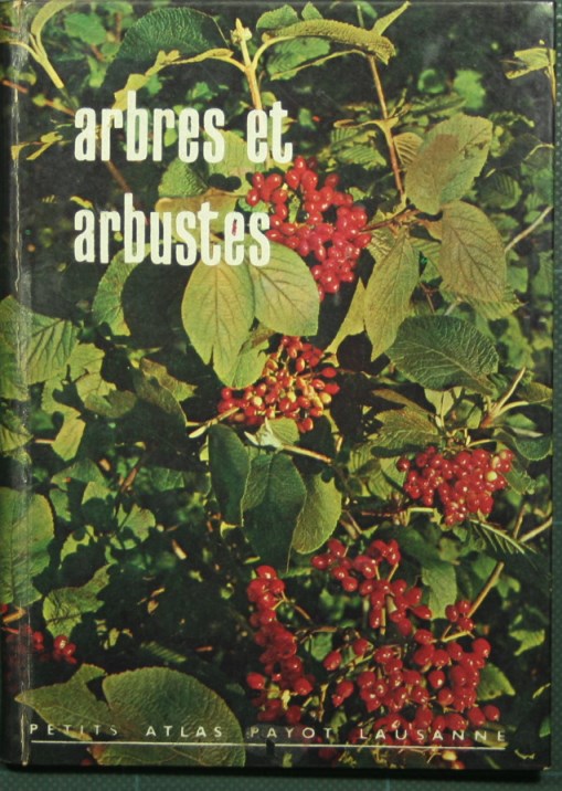 Arbres et arbustes