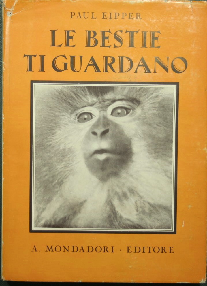 Le bestie ti guardano