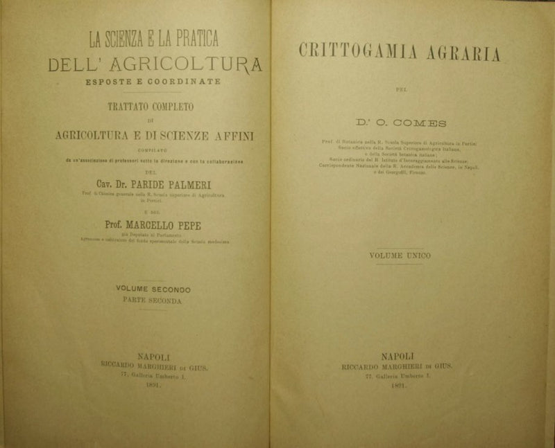 Crittogamia agraria