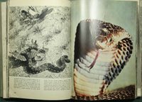 Enciclopedia illustrata degli animali