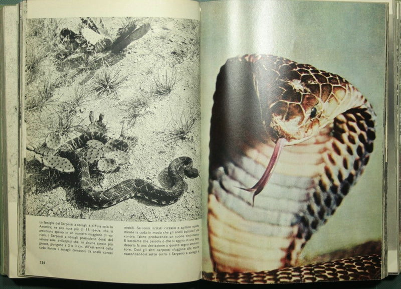 Enciclopedia illustrata degli animali