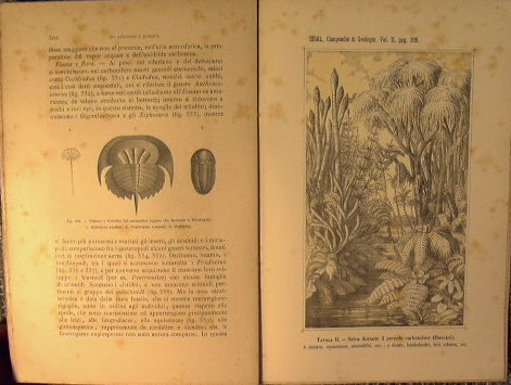 Compendio de Geología
