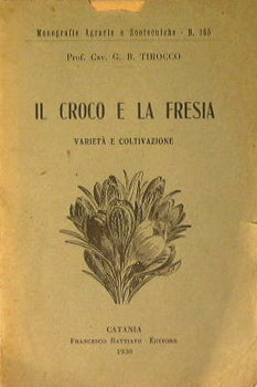 Il Croco e la Fresia