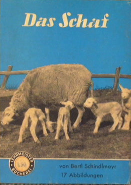 Das Schaf