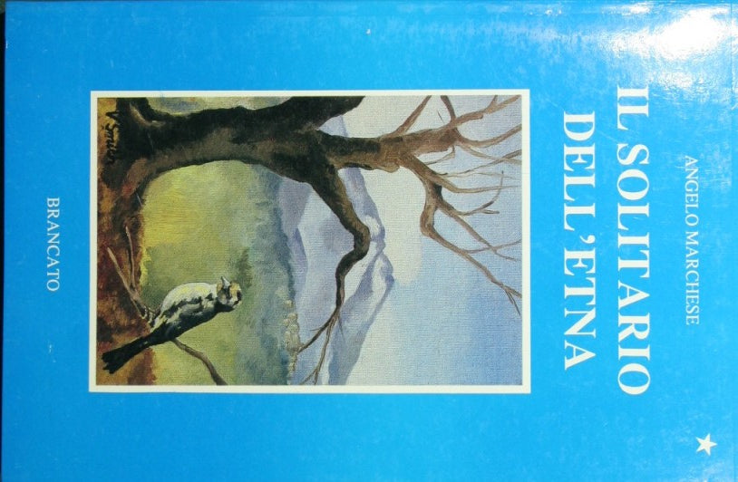 The solitaire of Etna