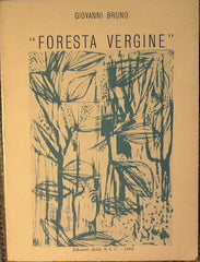 Foresta vergine