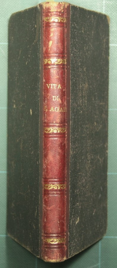 Vita e culto di Sant'Agata