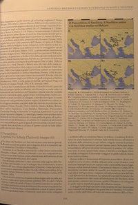 Storia dell'umanità