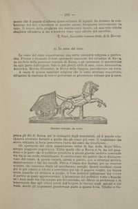 L'impero di Roma e il Cristianesimo. Vol. II