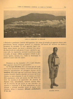Elementos de la cultura militar del ciudadano italiano.