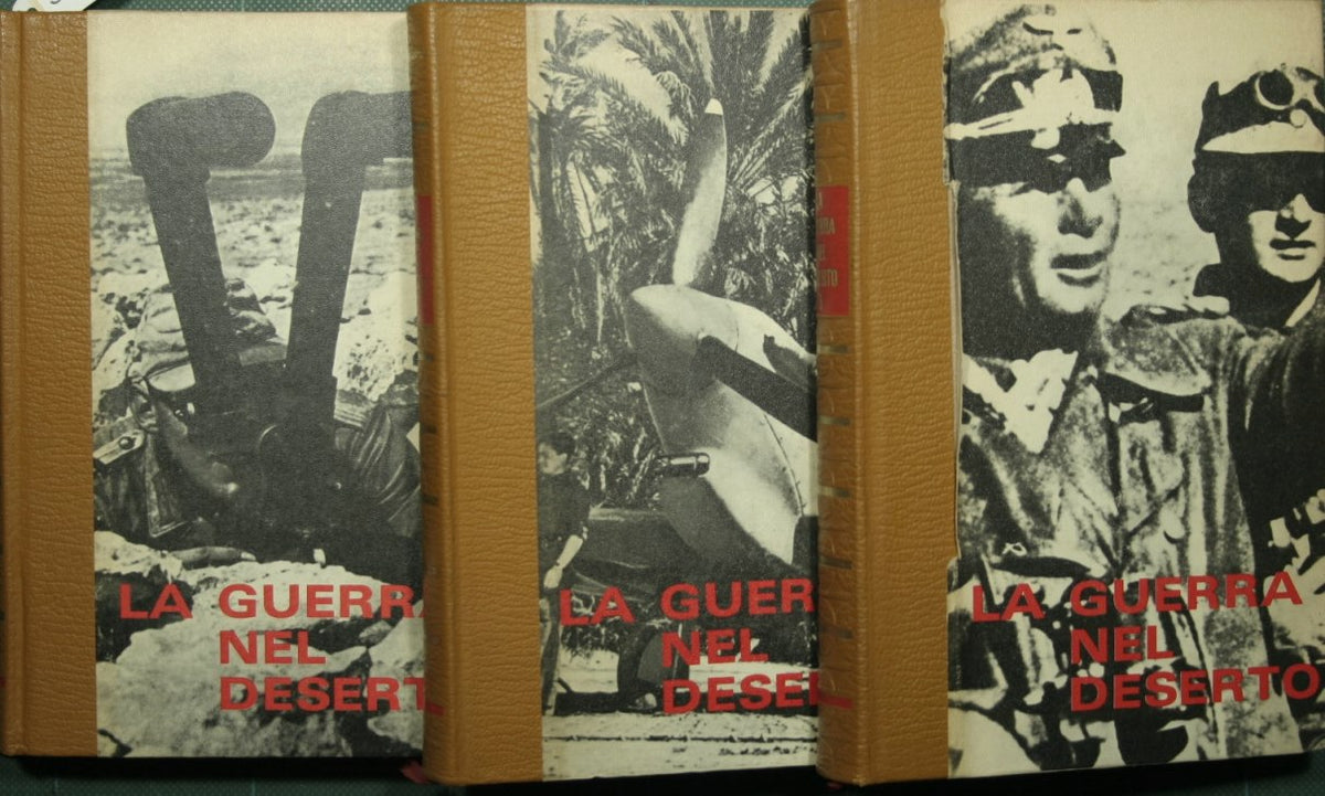 La guerra nel deserto