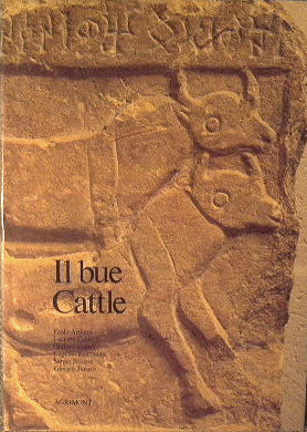 Il bue - Cattle