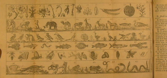 Children's encyclopedia
