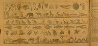 Children's encyclopedia