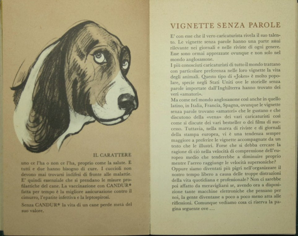 Hoechst vi diverte