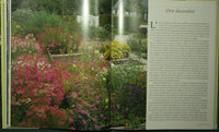 The game of symmetries in the garden
