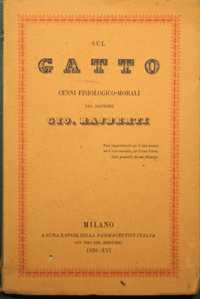 Sul gatto